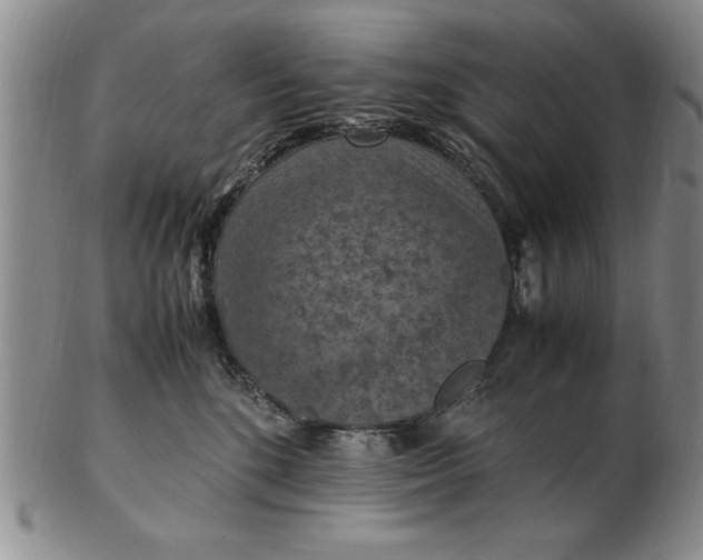 X0000103140520200809051617