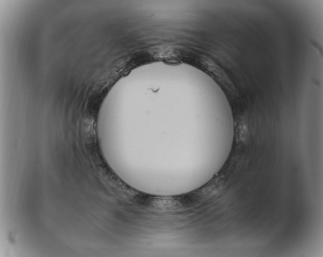 X0000103140521200809051617