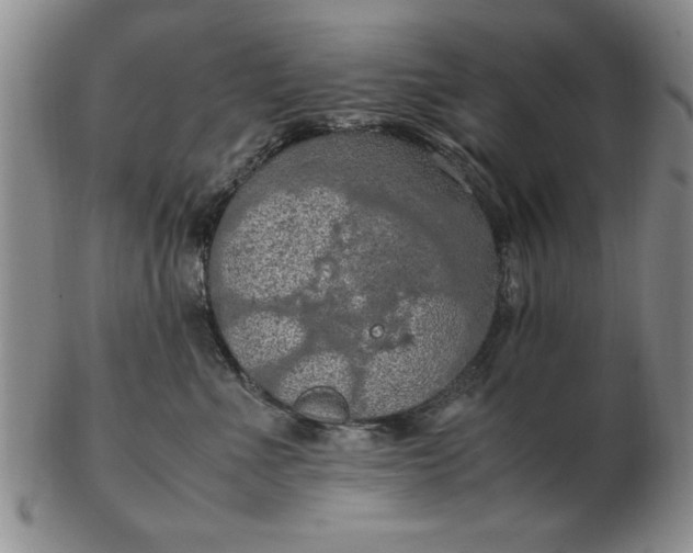 X0000103140523200809051617