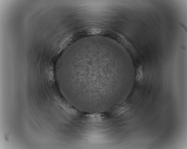 X0000103140524200809051617