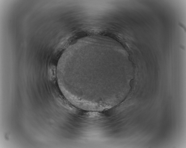 X0000103140528200809051617