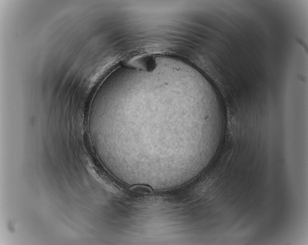 X0000103140530200809051617