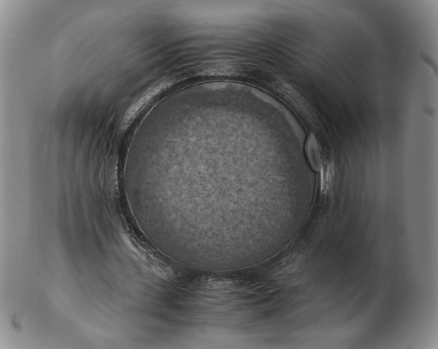 X0000103140531200809051617