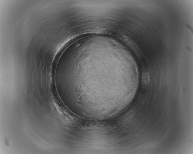 X0000103140532200809051617