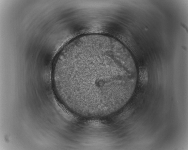 X0000103140534200809051617