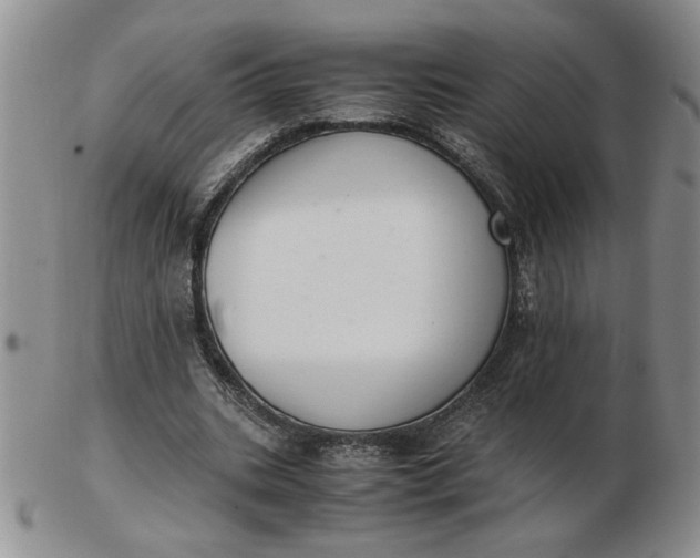 X0000103140535200809051617