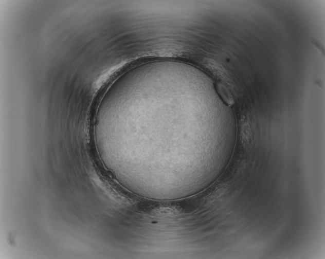 X0000103140536200809051617