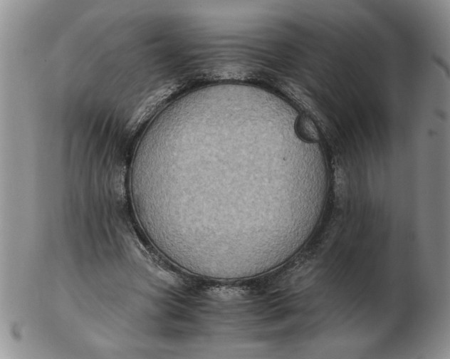 X0000103140537200809051617