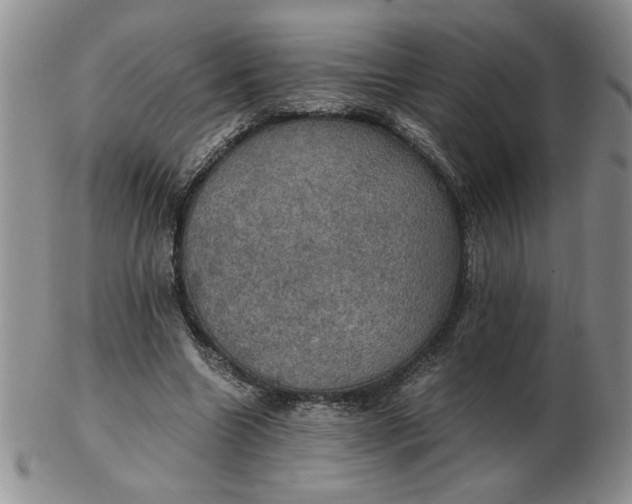 X0000103140538200809051617