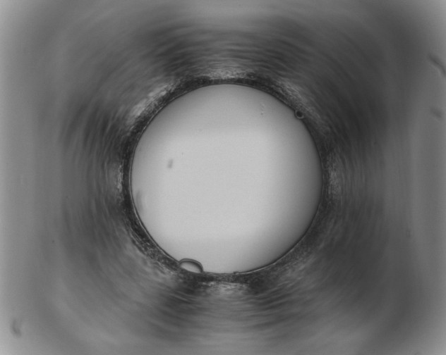 X0000103140539200809051617