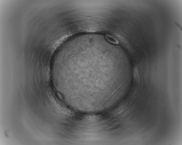 X0000103140540200809051617