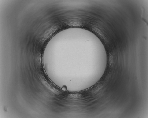 X0000103140541200809051617