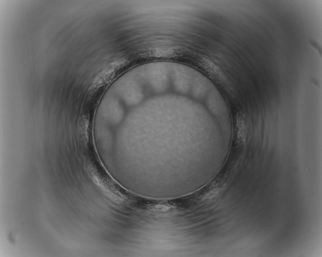 X0000103140542200809051617