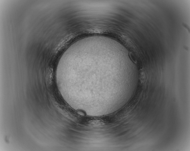 X0000103140544200809051617