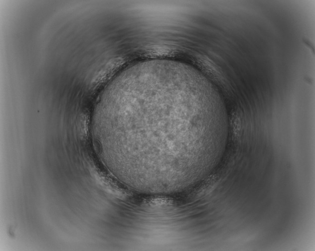 X0000103140546200809051617