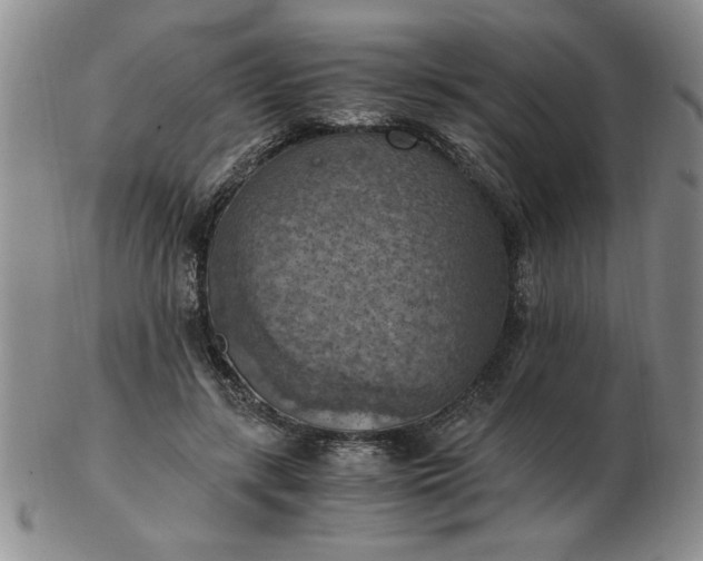 X0000103140547200809051617