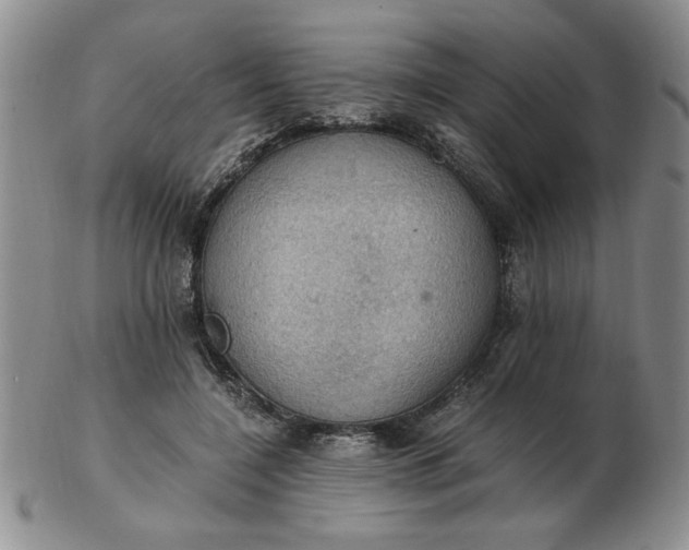 X0000103140548200809051617