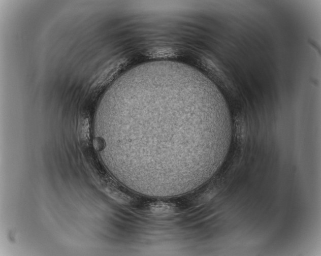 X0000103140549200809051617