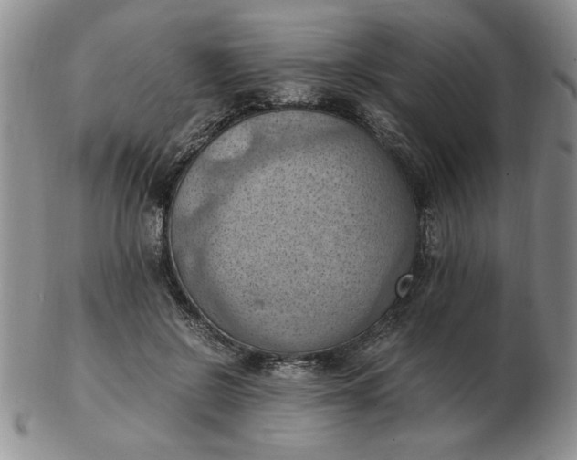 X0000103140550200809051617