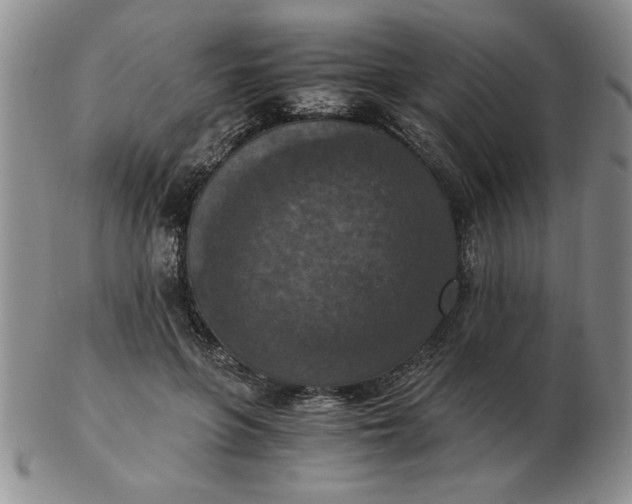 X0000103140551200809051617