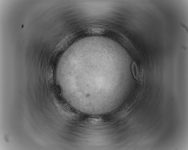 X0000103140552200809051617