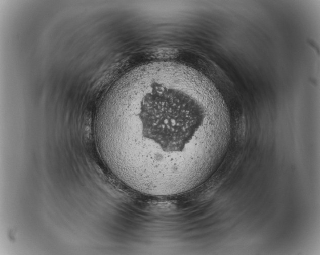 X0000103140553200809051617