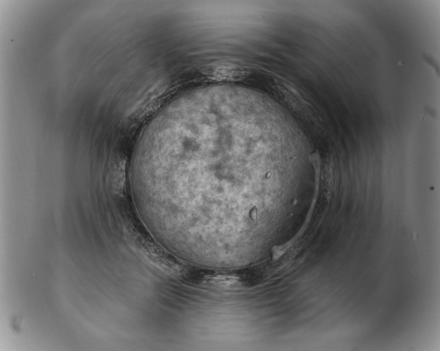 X0000103140554200809051617