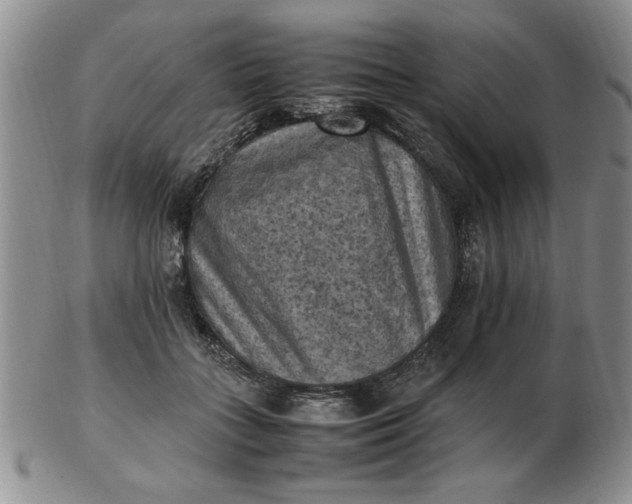 X0000103140555200809051617