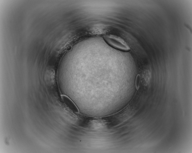 X0000103140556200809051617