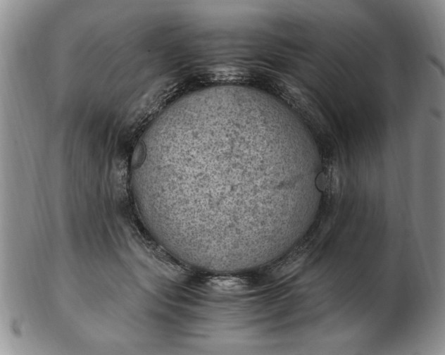 X0000103140557200809051617