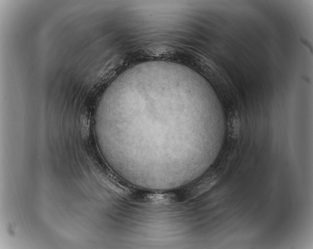 X0000103140558200809051617