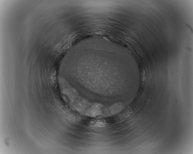 X0000103140559200809051617