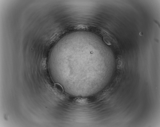 X0000103140560200809051617