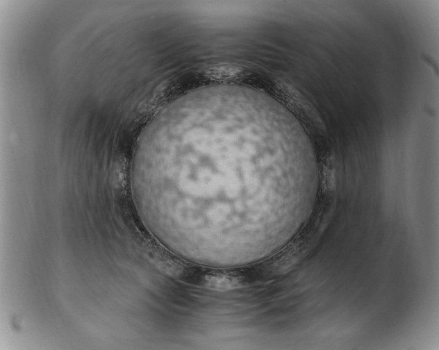 X0000103140561200809051617