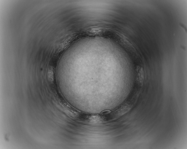 X0000103140562200809051617