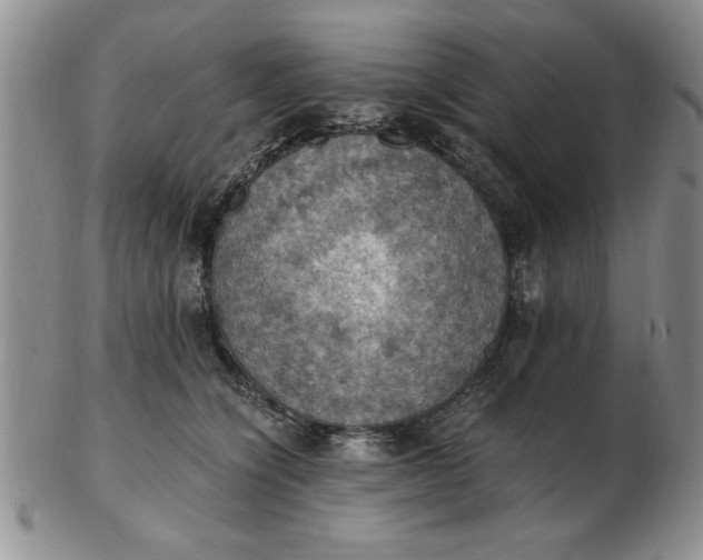 X0000103140564200809051617