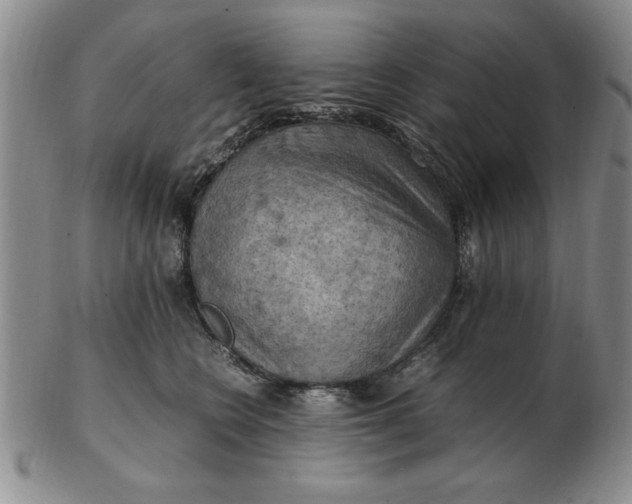 X0000103140566200809051617