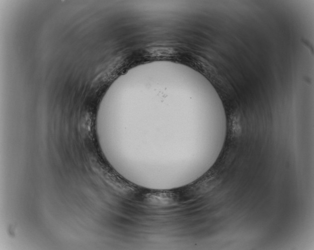 X0000103140567200809051617