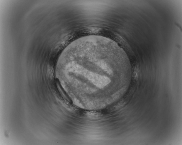 X0000103140568200809051617