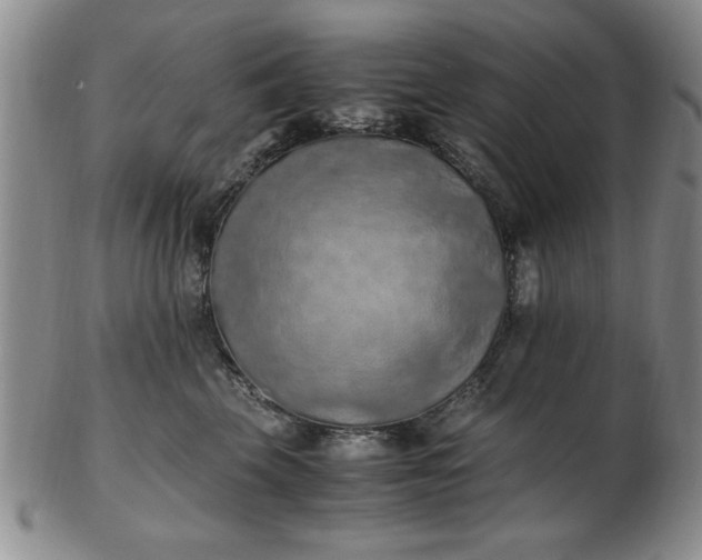 X0000103140569200809051617