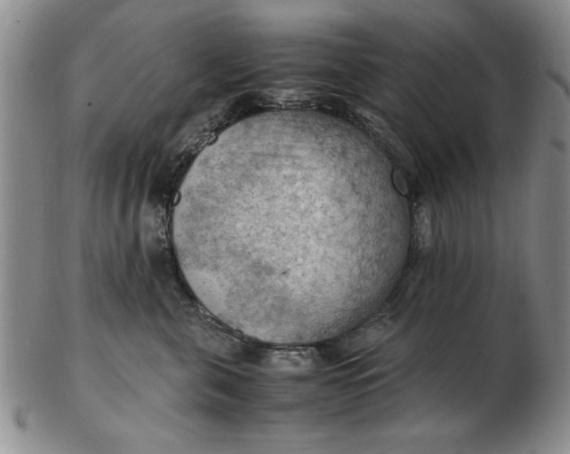 X0000103140571200809051617