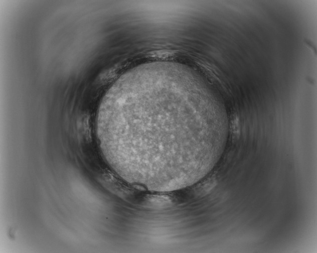 X0000103140572200809051617