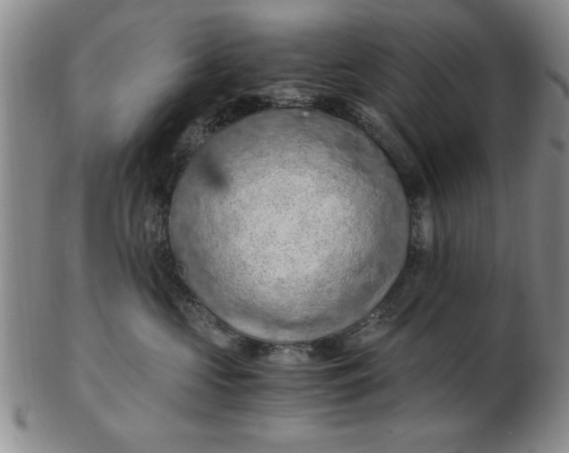 X0000103140573200809051617