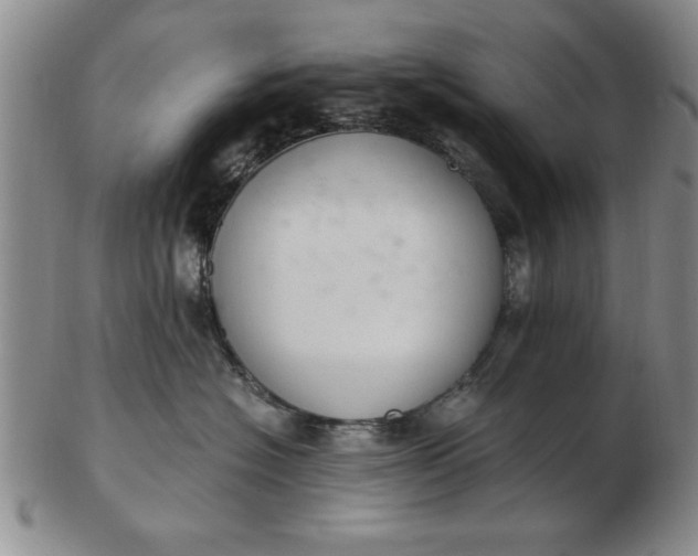 X0000103140574200809051617