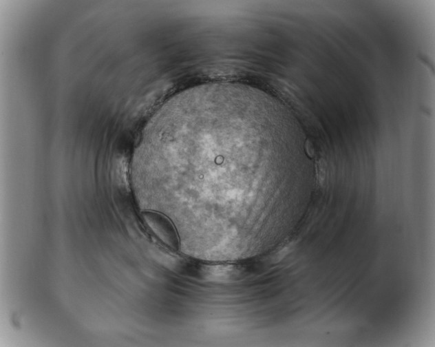 X0000103140575200809051617