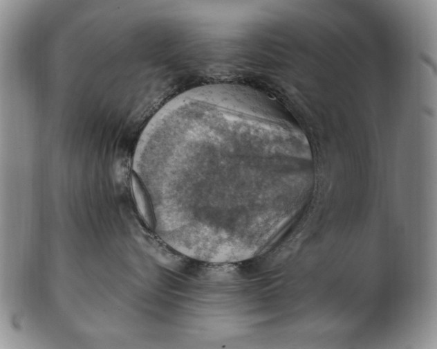 X0000103140576200809051617