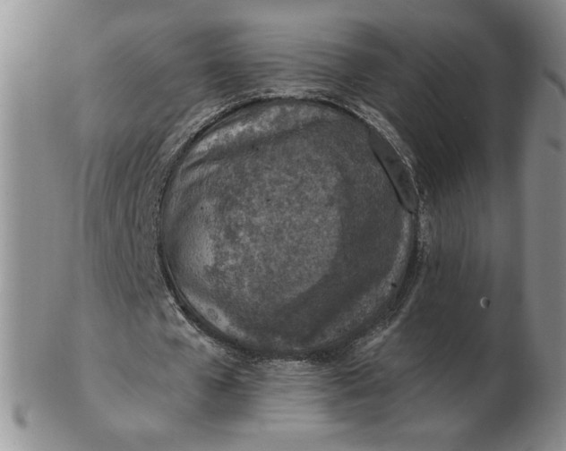 X0000103140577200809051617