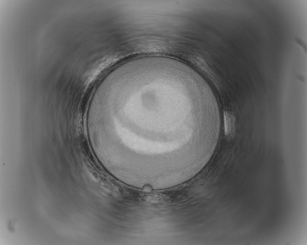 X0000103140579200809051617