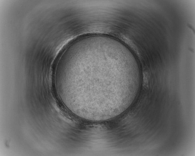 X0000103140580200809051616