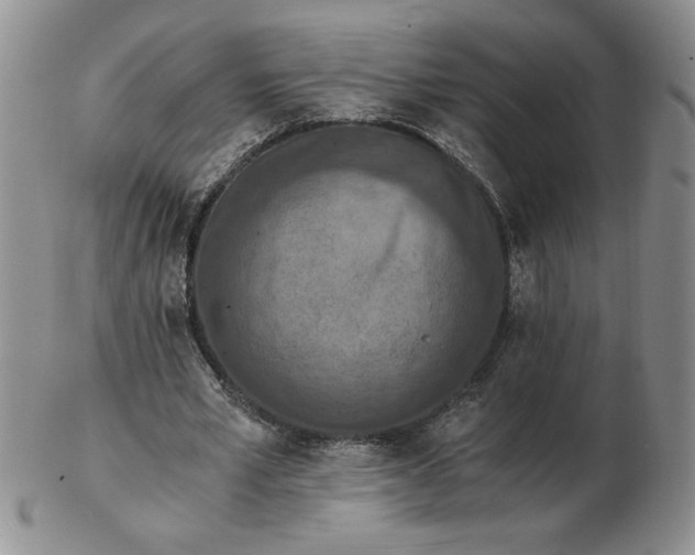 X0000103140581200809051616